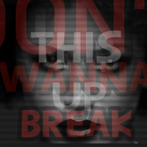 Don't Wanna Break This Up album art
