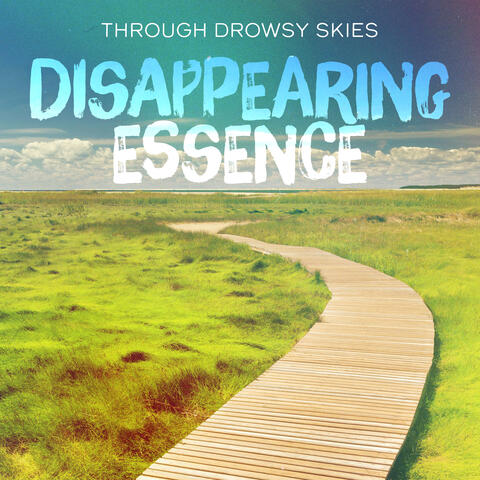 Disappearing Essence album art
