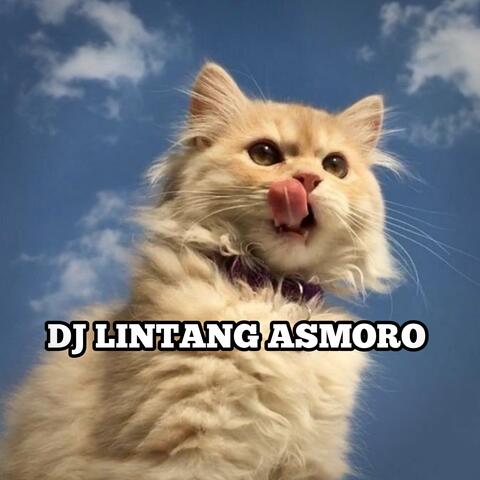 Lintang Asmara album art