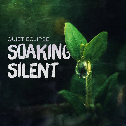 Soaking Silent album art