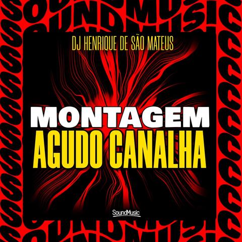 MONTAGEM AGUDO CANALHA album art