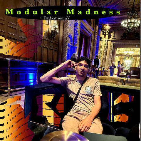 Modular Madness album art