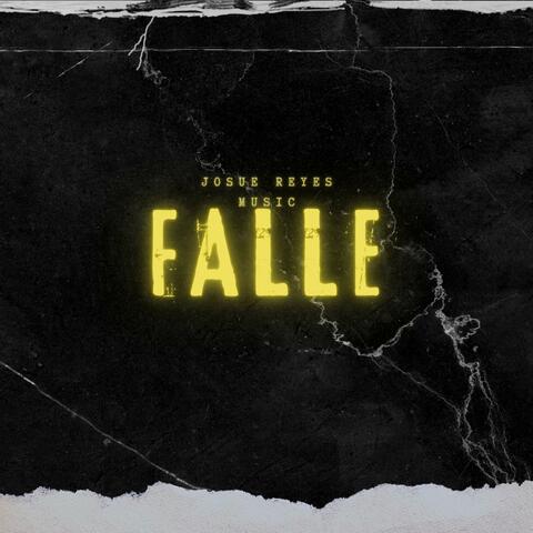 falle album art