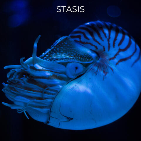 Stasis album art