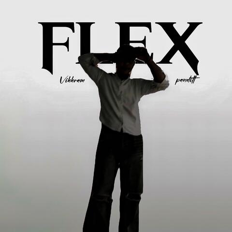 FLEX album art