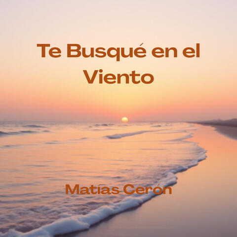 Te Busqué en el Viento album art