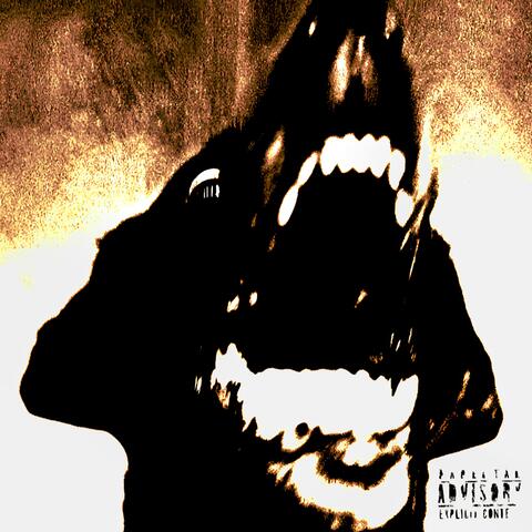 DUFFEL BAGGED album art