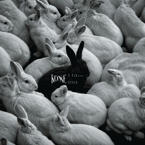 OVEJA NEGRA album art