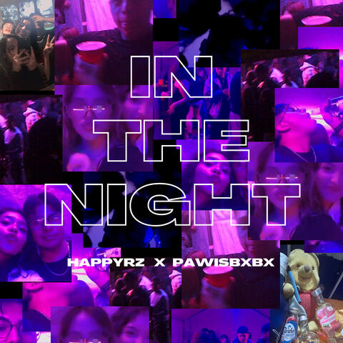 IN THE NIGHT album art