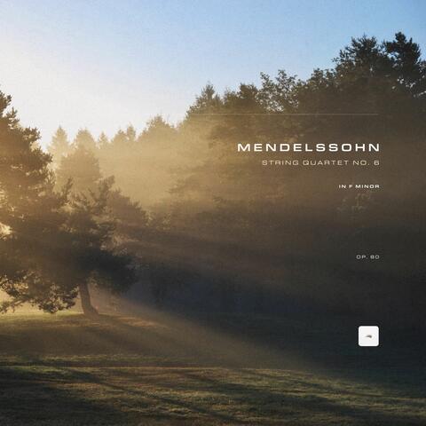 String Quartet No. 6 in F Minor, Op. 80 album art
