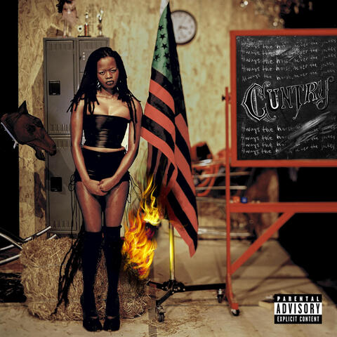 Cuntry album art