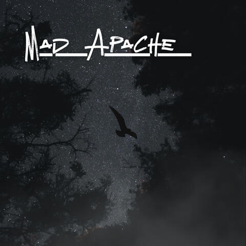 Night Hawk album art