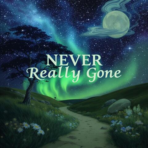Never Really Gone album art