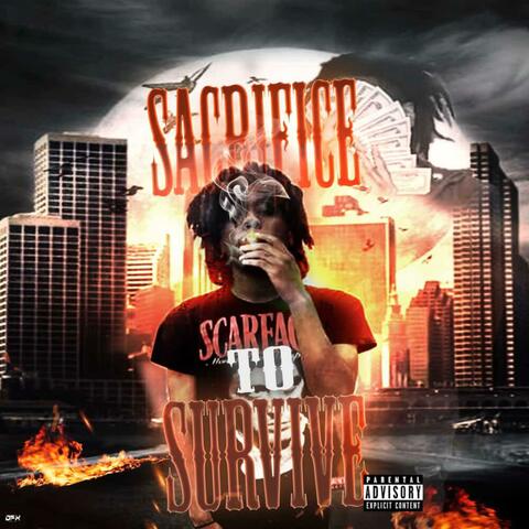 STS album art