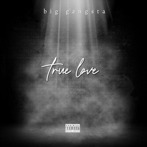 true love album art