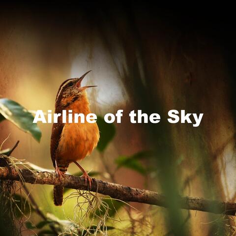 Airline of the Sky album art