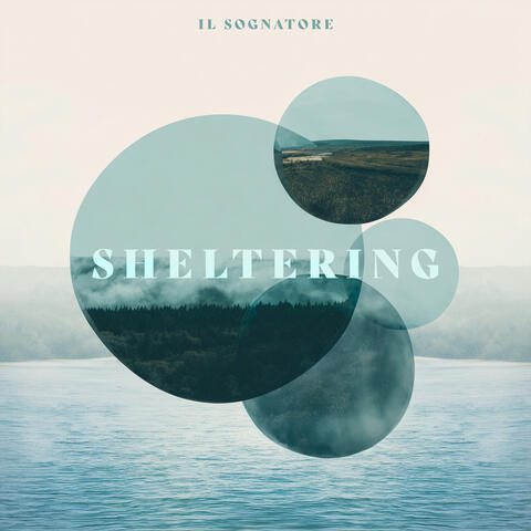 Sheltering album art
