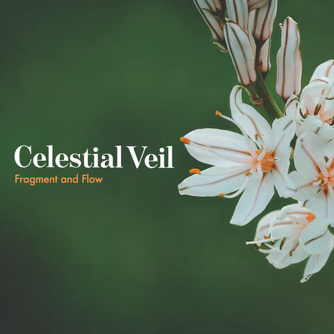 Celestial Veil album art