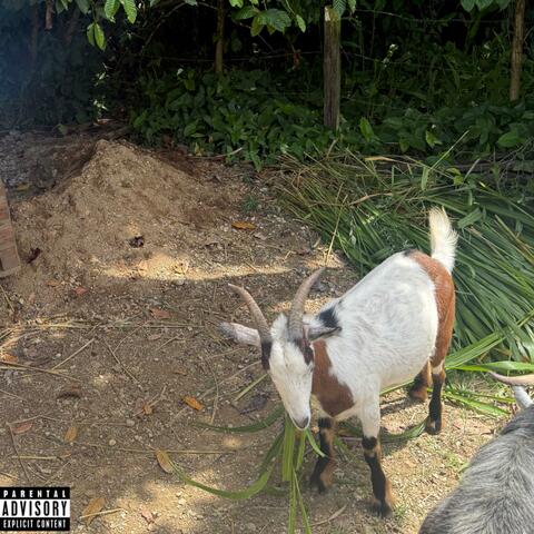 Hate It Or Love It album art