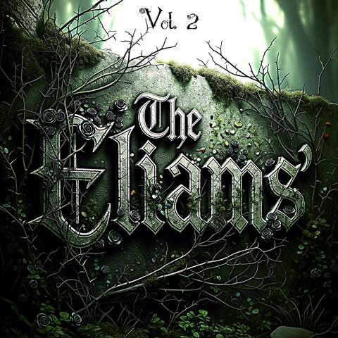 Firme en la Fé Vol. 2 album art