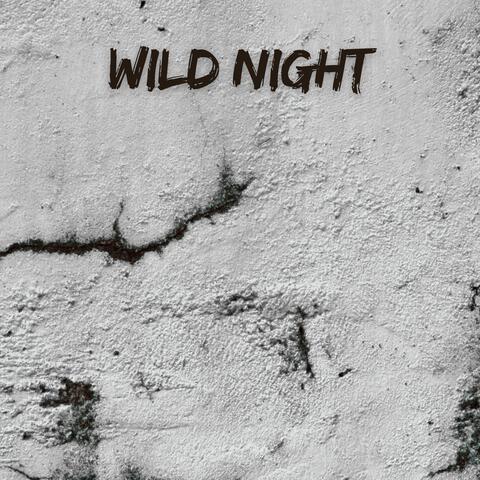 Wild Night album art