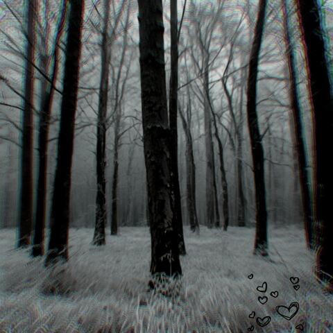 Lo the lost album art