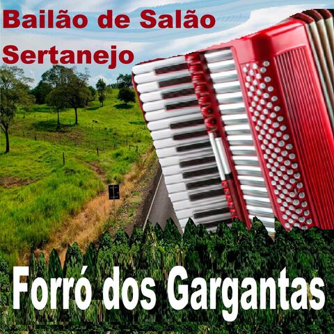 BAILÃO DE SALÃO SERTANEJO album art