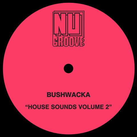 House Sounds, Vol. 2 album art