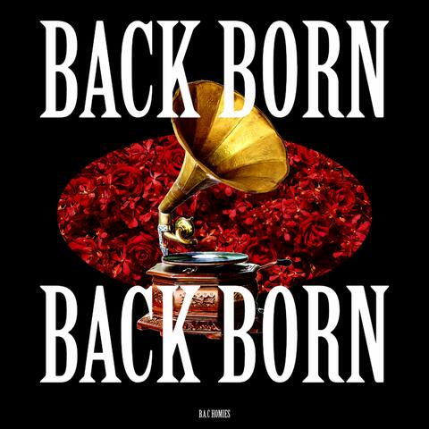 BACK BORN album art