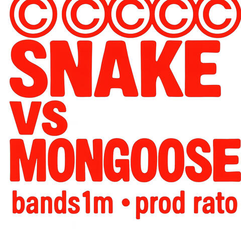 SNAKE VS MONGOOSE album art