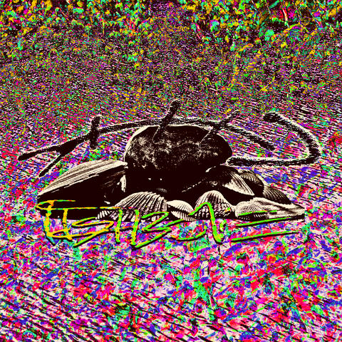 Muskellunge album art