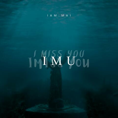 IMU album art
