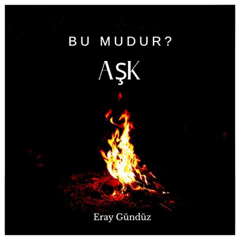 Bu mudur aşk album art