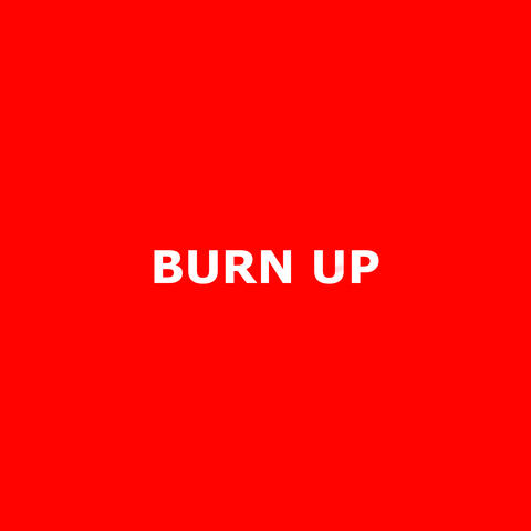 Burn Up album art
