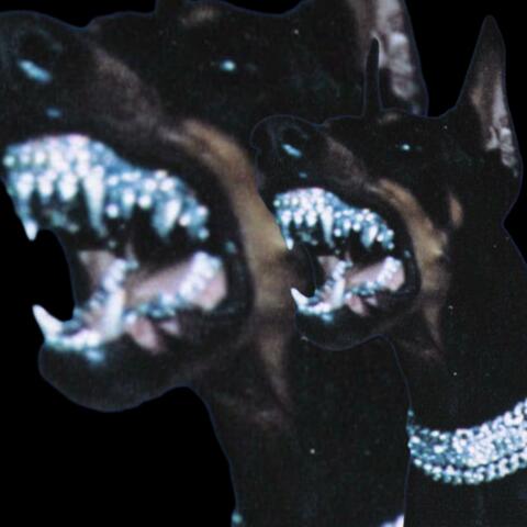 iDONT (DISCRIMINATE)(MASTERED) album art