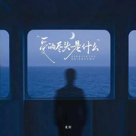 愛的盡頭是什麽 album art