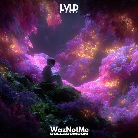 DOLLADOMDOM album art