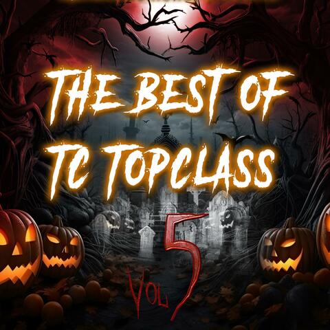 The Best of Tc Topclass Vol 5 album art