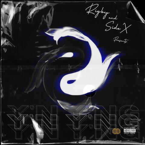 Y'N Y'NG DIGITALS album art