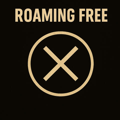 Roaming Free album art
