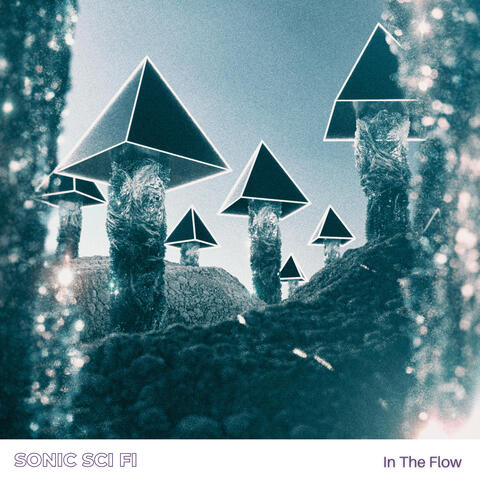 In The Flow album art