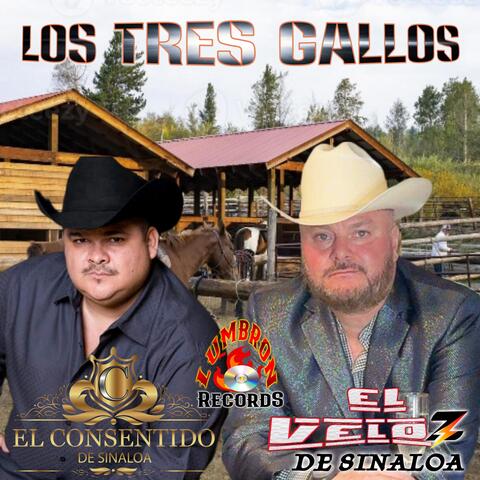 LOS TRES GALLOS album art