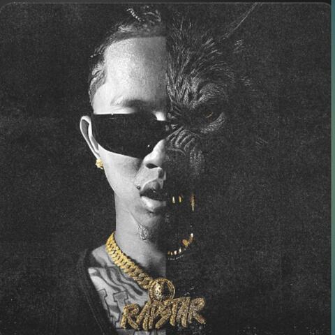 Gotchu album art
