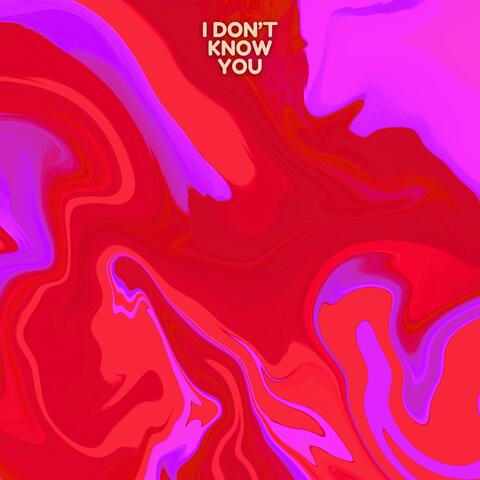 I Don't Know You album art