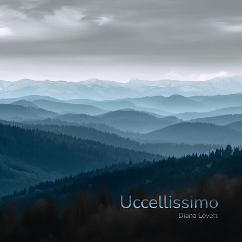 Uccellissimo album art