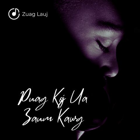 Puag Koj Ua Zaum Kawg album art