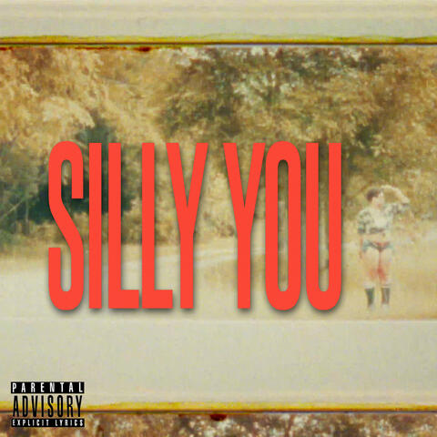 Silly You album art