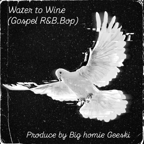 Water To wine album art