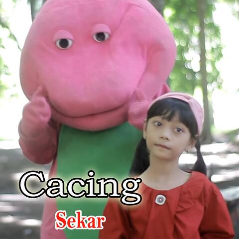 Cacing album art