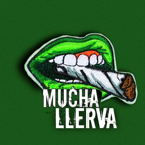 Mucha Llerva album art